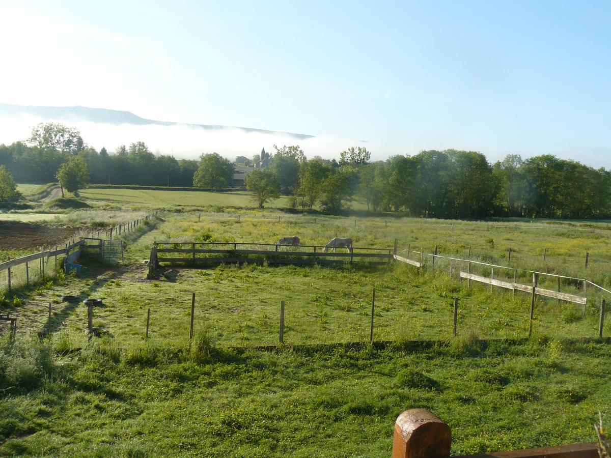 Bed and Breakfast Chez Camille Etrigny Exterior foto
