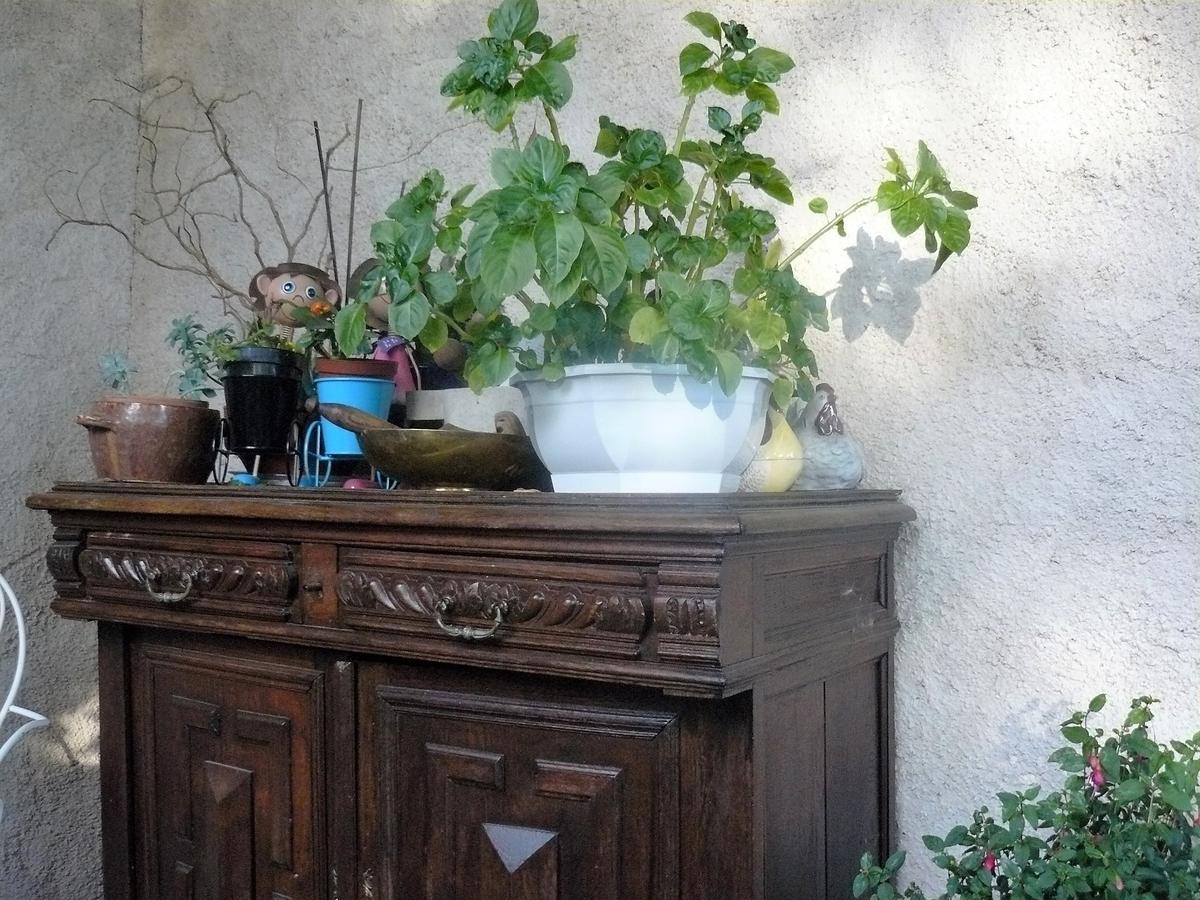 Bed and Breakfast Chez Camille Etrigny Exterior foto